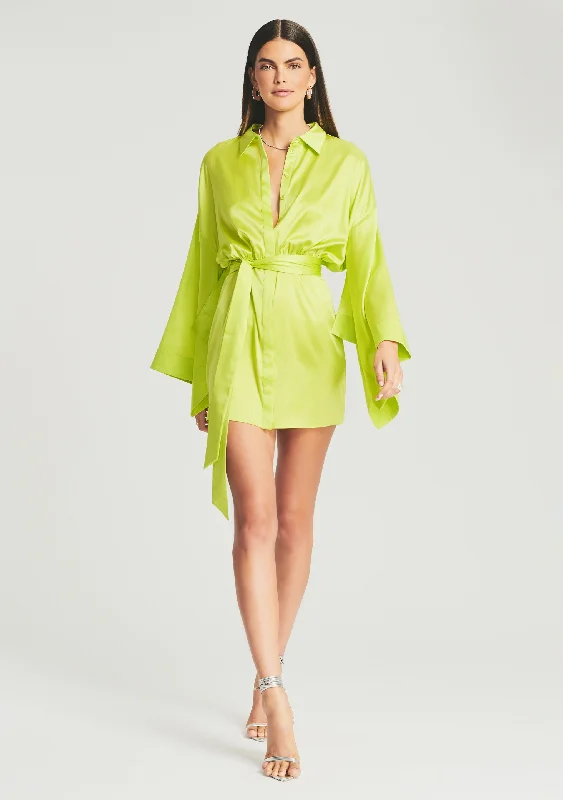 Hot Deals You Can’t Resist!Scottie Silk Dress